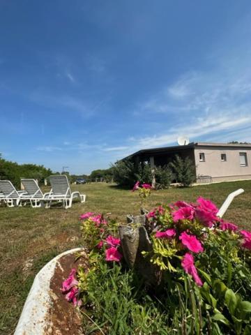 Holiday Home Lavanda Pola Esterno foto